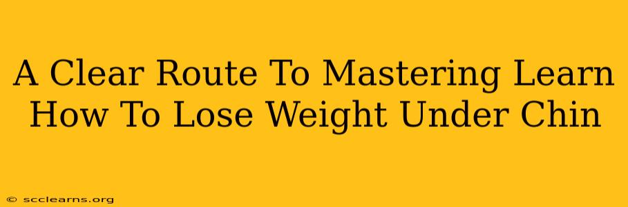 A Clear Route To Mastering Learn How To Lose Weight Under Chin