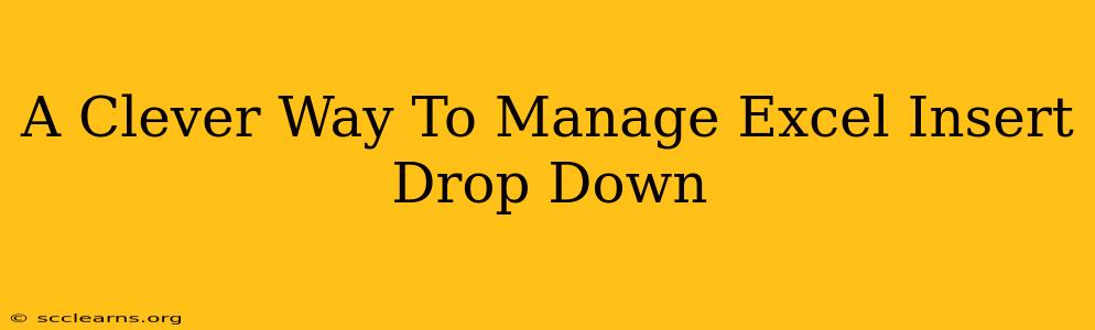 A Clever Way To Manage Excel Insert Drop Down