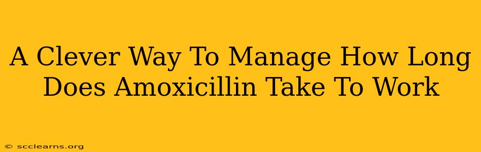 A Clever Way To Manage How Long Does Amoxicillin Take To Work