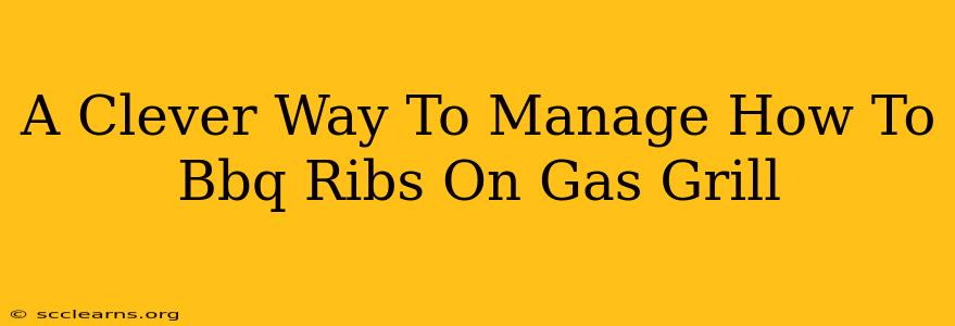 A Clever Way To Manage How To Bbq Ribs On Gas Grill