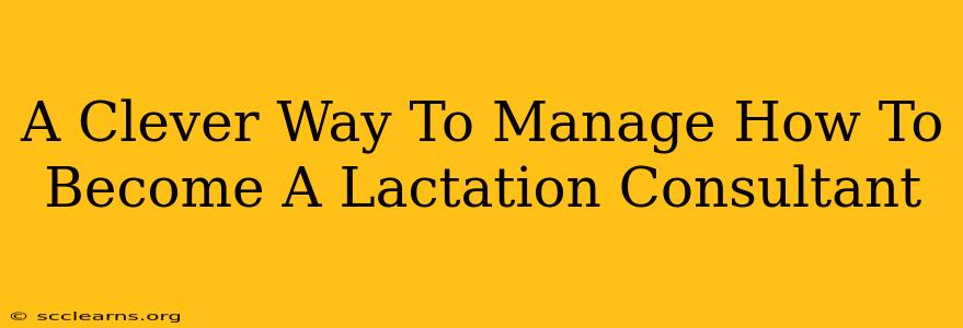 A Clever Way To Manage How To Become A Lactation Consultant