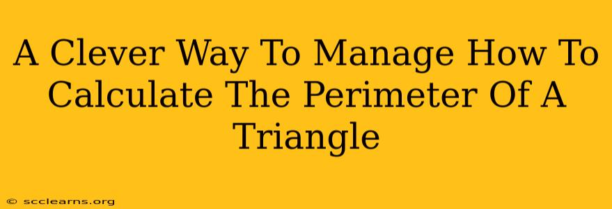 A Clever Way To Manage How To Calculate The Perimeter Of A Triangle