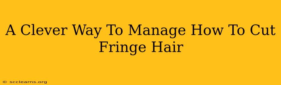 A Clever Way To Manage How To Cut Fringe Hair