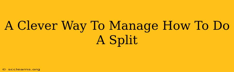 A Clever Way To Manage How To Do A Split