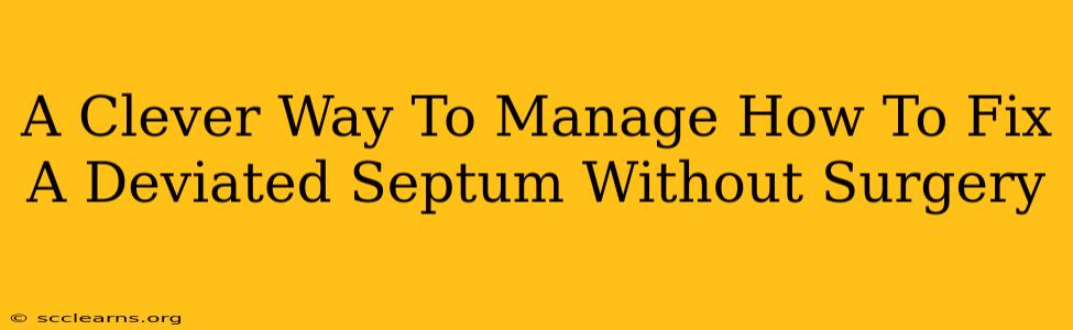 A Clever Way To Manage How To Fix A Deviated Septum Without Surgery