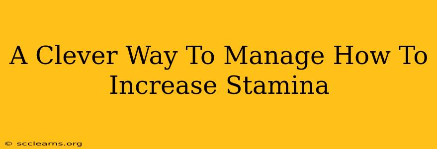 A Clever Way To Manage How To Increase Stamina