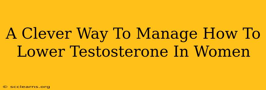 A Clever Way To Manage How To Lower Testosterone In Women