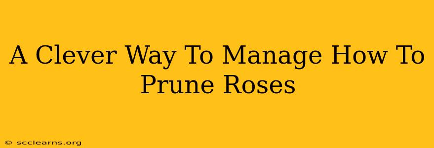 A Clever Way To Manage How To Prune Roses