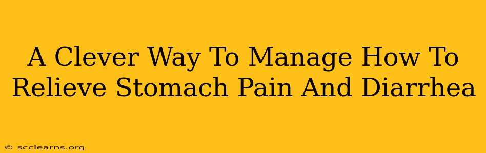 A Clever Way To Manage How To Relieve Stomach Pain And Diarrhea