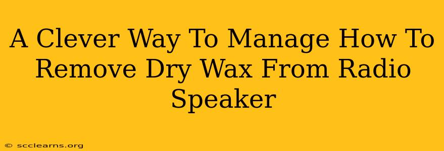 A Clever Way To Manage How To Remove Dry Wax From Radio Speaker