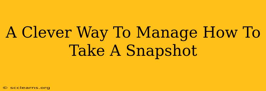 A Clever Way To Manage How To Take A Snapshot