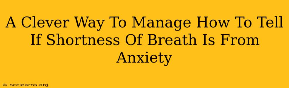 A Clever Way To Manage How To Tell If Shortness Of Breath Is From Anxiety