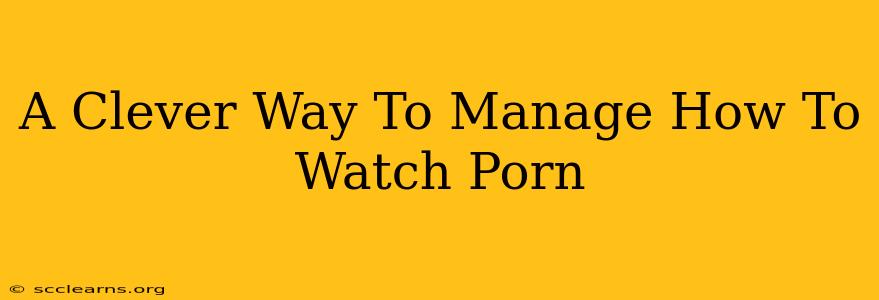 A Clever Way To Manage How To Watch Porn