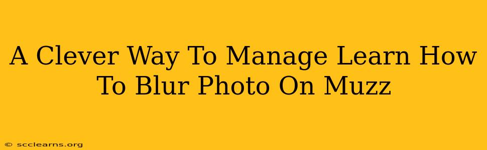 A Clever Way To Manage Learn How To Blur Photo On Muzz