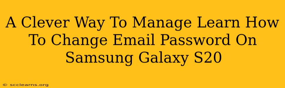 A Clever Way To Manage Learn How To Change Email Password On Samsung Galaxy S20