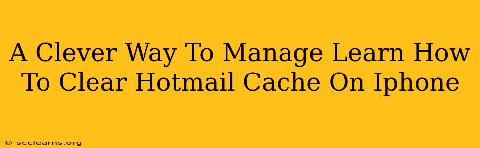 A Clever Way To Manage Learn How To Clear Hotmail Cache On Iphone