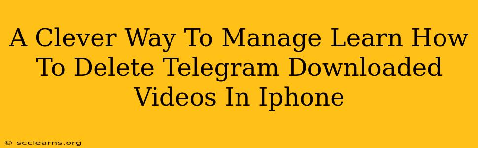 A Clever Way To Manage Learn How To Delete Telegram Downloaded Videos In Iphone