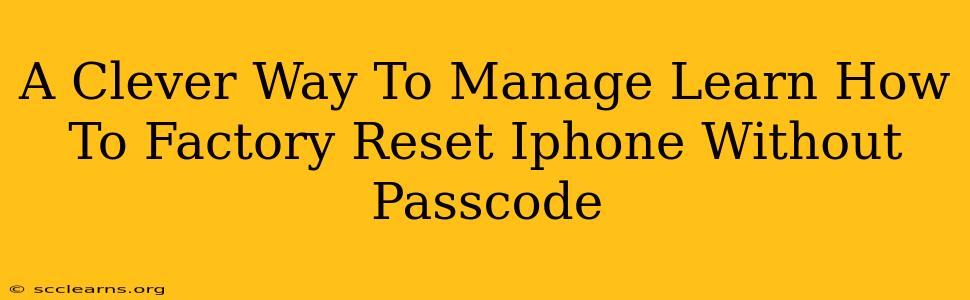 A Clever Way To Manage Learn How To Factory Reset Iphone Without Passcode