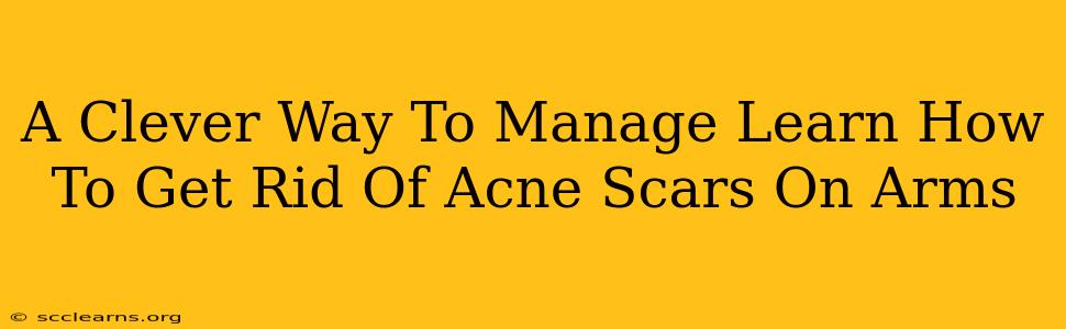 A Clever Way To Manage Learn How To Get Rid Of Acne Scars On Arms