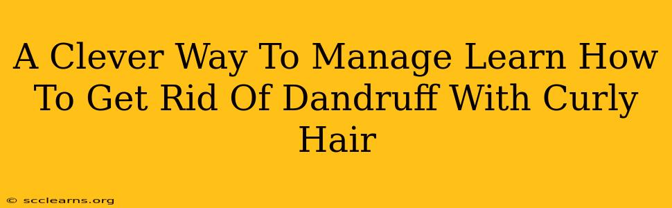 A Clever Way To Manage Learn How To Get Rid Of Dandruff With Curly Hair