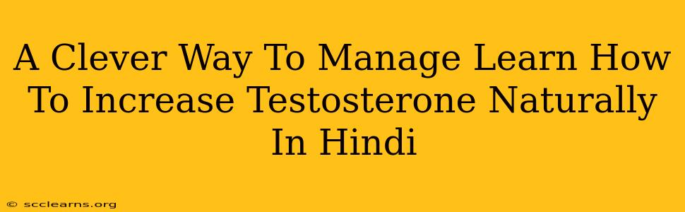 A Clever Way To Manage Learn How To Increase Testosterone Naturally In Hindi