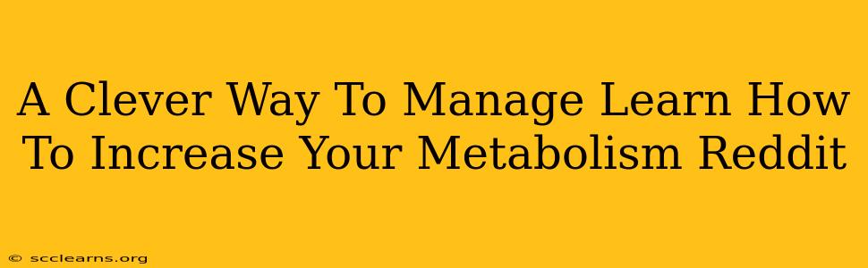 A Clever Way To Manage Learn How To Increase Your Metabolism Reddit