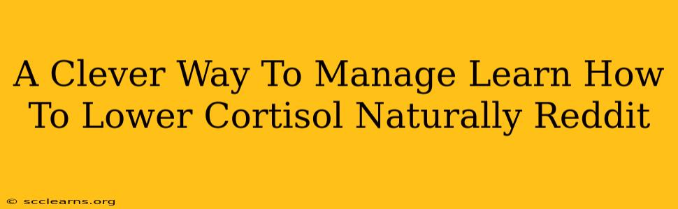 A Clever Way To Manage Learn How To Lower Cortisol Naturally Reddit