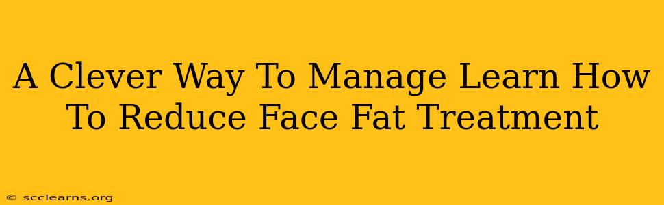 A Clever Way To Manage Learn How To Reduce Face Fat Treatment