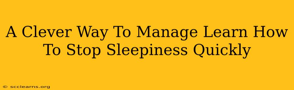 A Clever Way To Manage Learn How To Stop Sleepiness Quickly