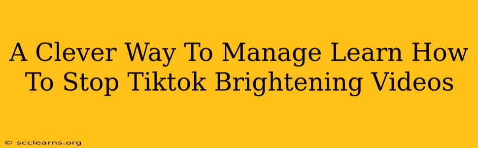 A Clever Way To Manage Learn How To Stop Tiktok Brightening Videos