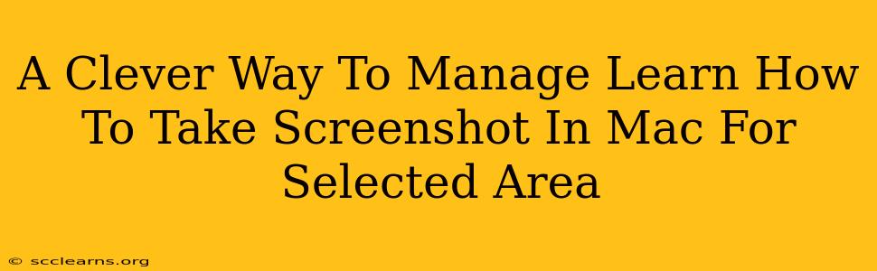 A Clever Way To Manage Learn How To Take Screenshot In Mac For Selected Area