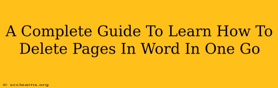 A Complete Guide To Learn How To Delete Pages In Word In One Go