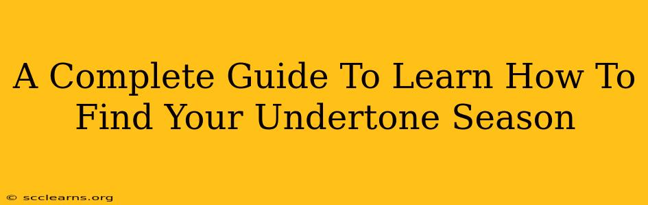 A Complete Guide To Learn How To Find Your Undertone Season