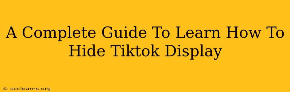 A Complete Guide To Learn How To Hide Tiktok Display