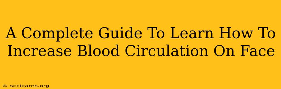 A Complete Guide To Learn How To Increase Blood Circulation On Face