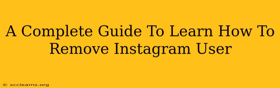 A Complete Guide To Learn How To Remove Instagram User