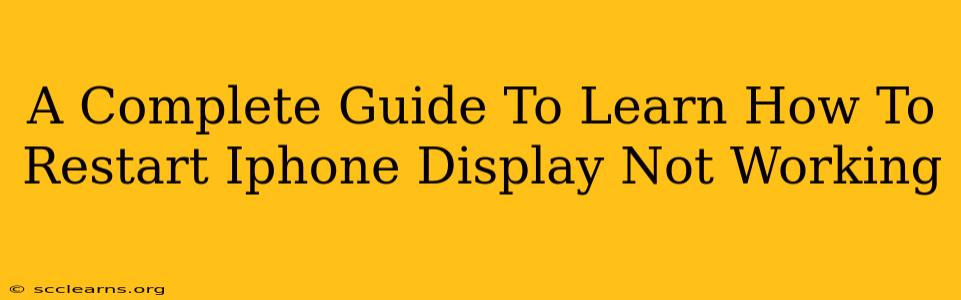 A Complete Guide To Learn How To Restart Iphone Display Not Working