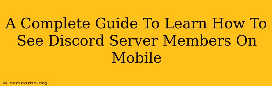 A Complete Guide To Learn How To See Discord Server Members On Mobile