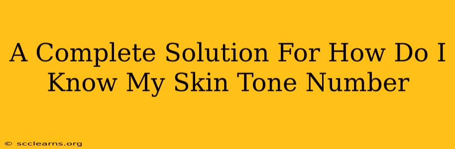 A Complete Solution For How Do I Know My Skin Tone Number