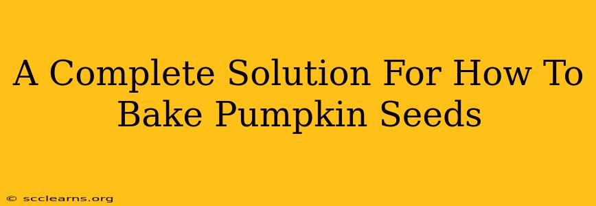 A Complete Solution For How To Bake Pumpkin Seeds