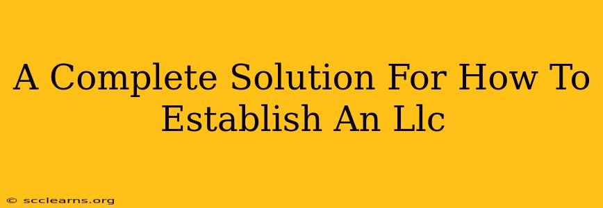 A Complete Solution For How To Establish An Llc