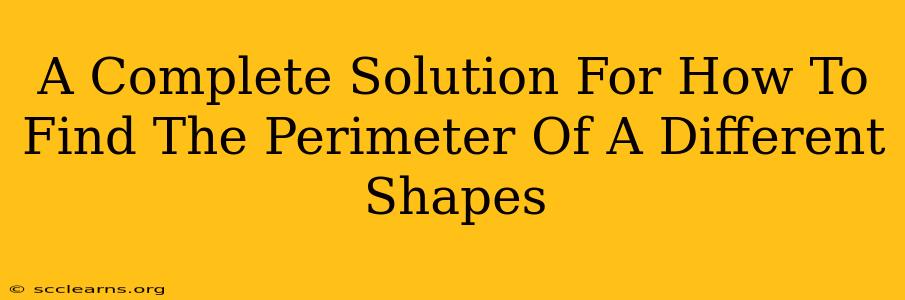 A Complete Solution For How To Find The Perimeter Of A Different Shapes