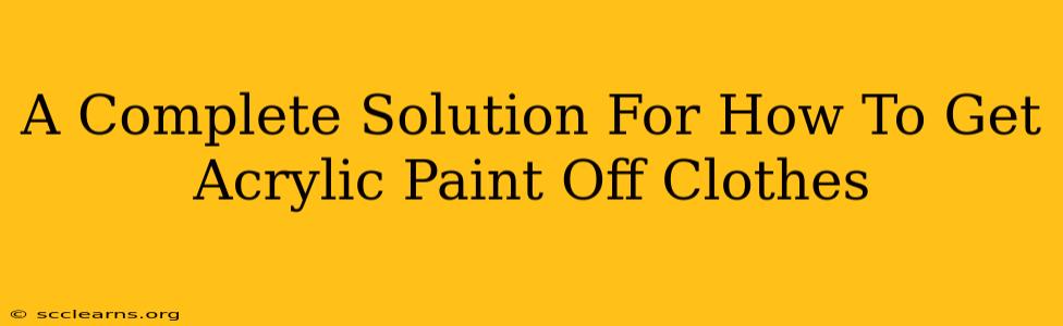 A Complete Solution For How To Get Acrylic Paint Off Clothes