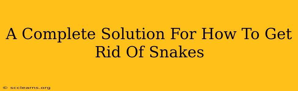 A Complete Solution For How To Get Rid Of Snakes