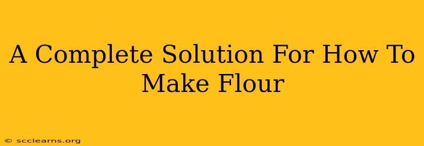 A Complete Solution For How To Make Flour