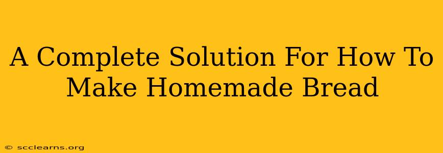 A Complete Solution For How To Make Homemade Bread