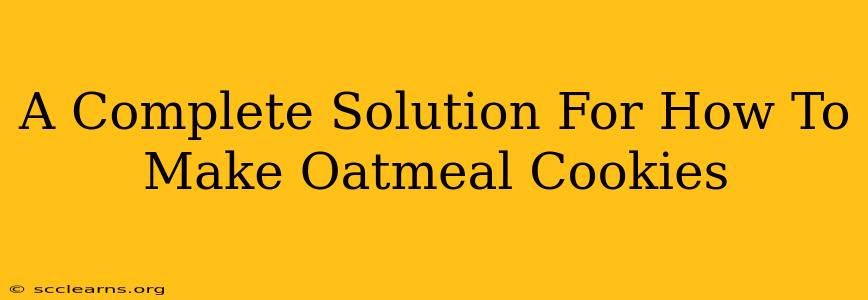 A Complete Solution For How To Make Oatmeal Cookies