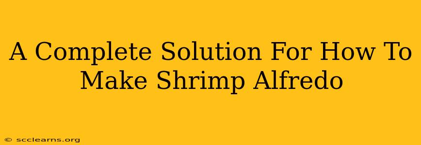 A Complete Solution For How To Make Shrimp Alfredo