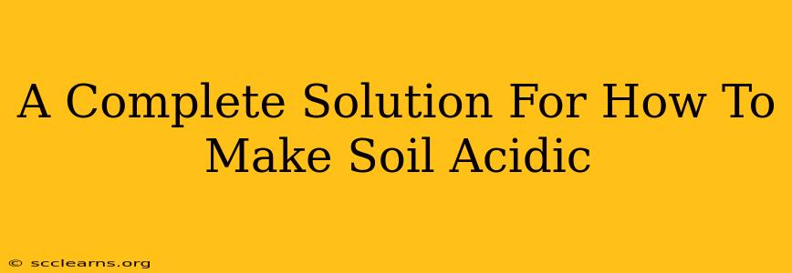 A Complete Solution For How To Make Soil Acidic