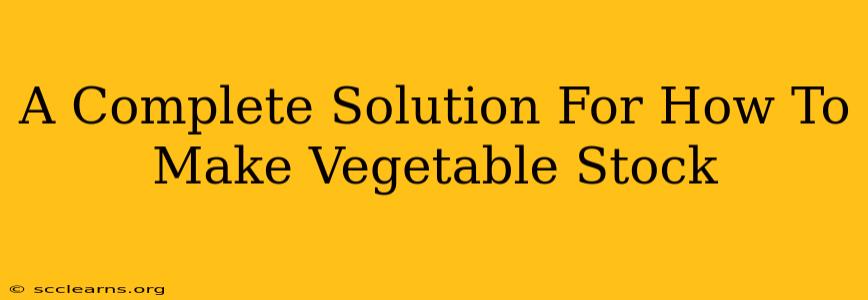 A Complete Solution For How To Make Vegetable Stock